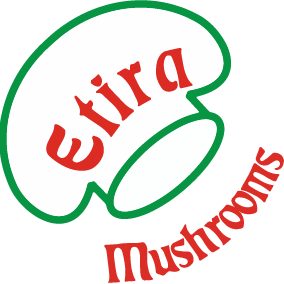 logo etira